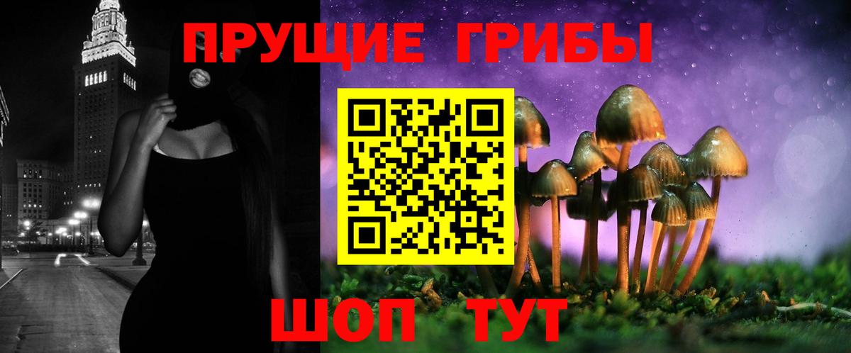 Галлюциногенные грибы Magic Shrooms  Галлюциногенные грибы Psilocybine cubensis  Вход с VPN  Чайковский 